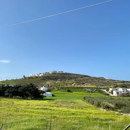 Apartman Olive Nest *