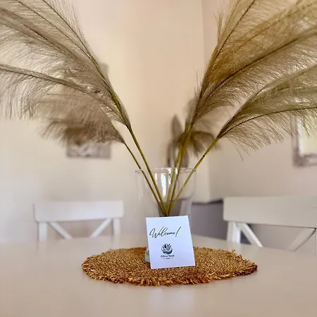 Olive Nest Parasporos