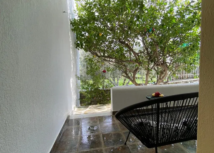 Apartman Olive Nest Parászporosz